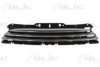 MINI 51117317264 Radiator Grille